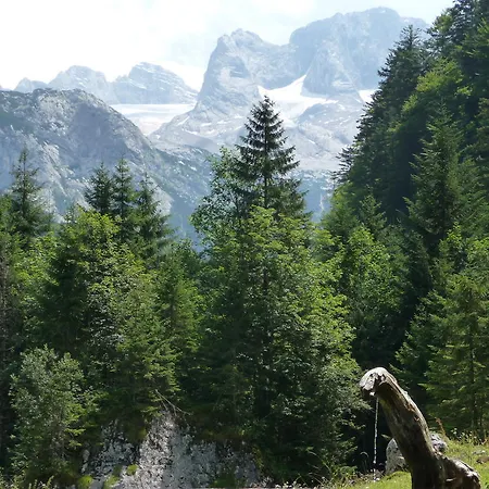 Apartmán Inge Gapp Gosau