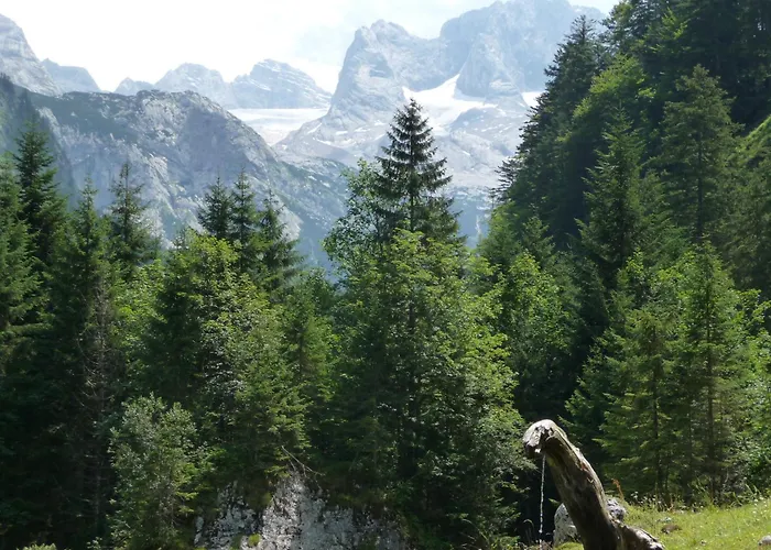 Apartment Inge Gapp Gosau